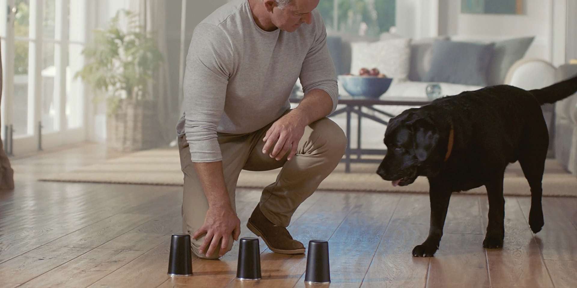 Si pensás “mi perro no quiere comer, ¿qué hago?”, algunos juegos pueden ayudar. Tutor jugando con su mascota.