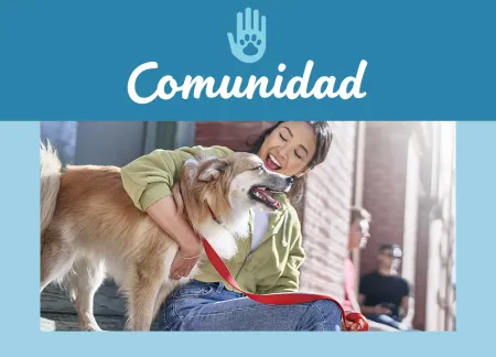 purina-img-community.jpg.webp?itok=itvjSihv purina-img-community.jpg.webp?itok=itvjSihv