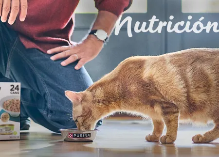 purina-img-cuidados-nutricion.jpg.webp?itok=yaWQnM2E purina-img-cuidados-nutricion.jpg.webp?itok=yaWQnM2E