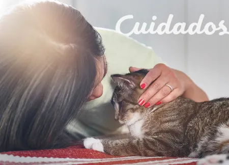 purina-img-cuidados.jpg.webp?itok=t-NxKGOu purina-img-cuidados.jpg.webp?itok=t-NxKGOu