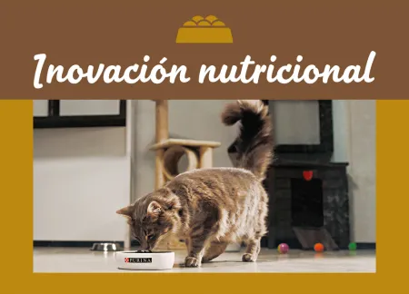 purina-img-nutrition.jpg.webp?itok=KFp4tinf purina-img-nutrition.jpg.webp?itok=KFp4tinf