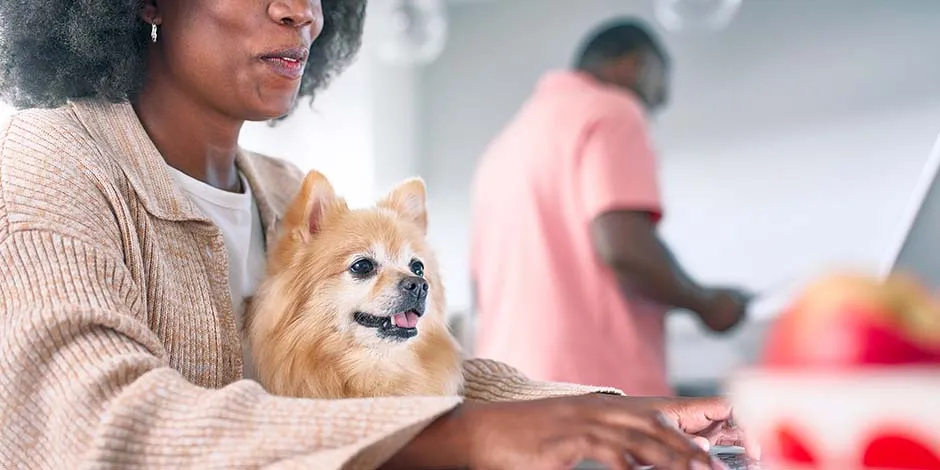 Mujer compartiendo junto a su mascota senior, un ejemplar de pomerania, color amarillo, famoso por tener mayor longevidad que otras razas. Enterate de cuánto vive un perro de este y otros linajes en este artículo.